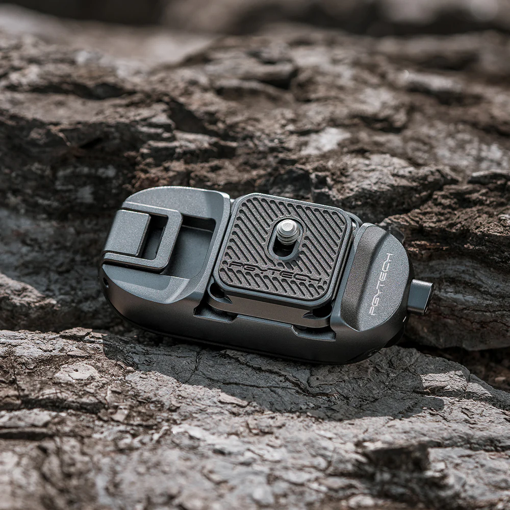 Beetle Camera Clip - Image 5