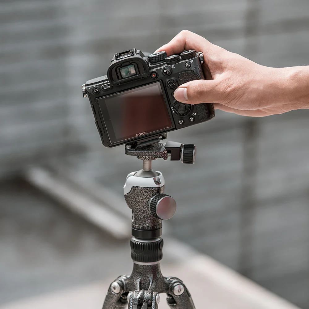 Beetle Camera Clip - Image 7